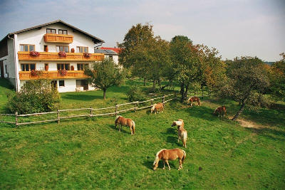 Wolf-Hof