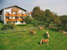 Wolf-Hof in Pressbaum